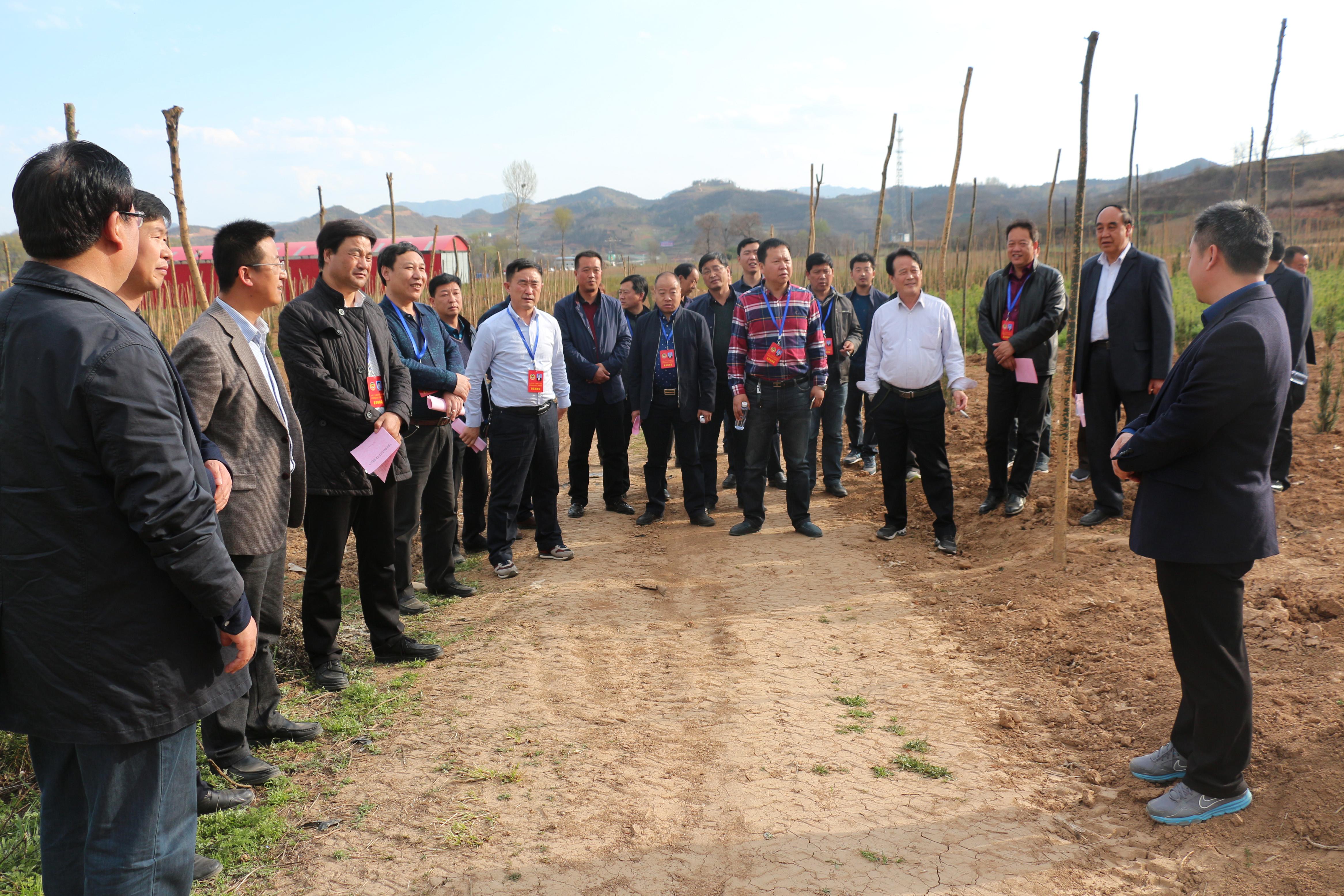 �տh���f(xi��)��ľ�a(ch��n)�I(y��)�{(di��o)�нM��(l��i)��ʢ�r(n��ng)�ֹ�˾�{(di��o)��