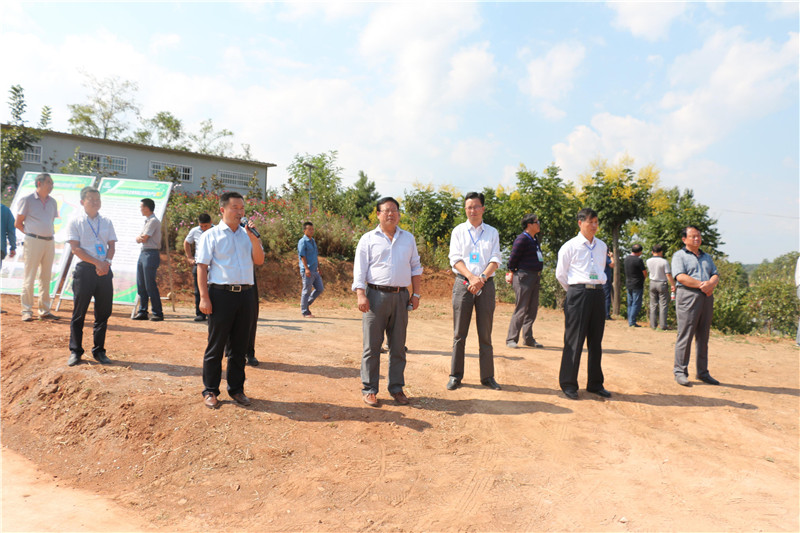 �]�ϣ��տh����������ľǢՄ��(hu��)�^Ħ�M����ʢ�r(n��ng)�ֹ�˾�^Ħ